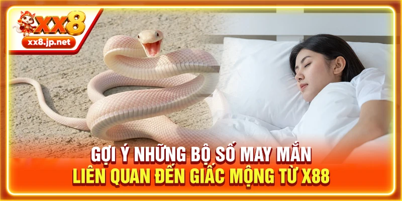 Gợi ý những bộ số may mắn liên quan đến giấc mộng từ X88