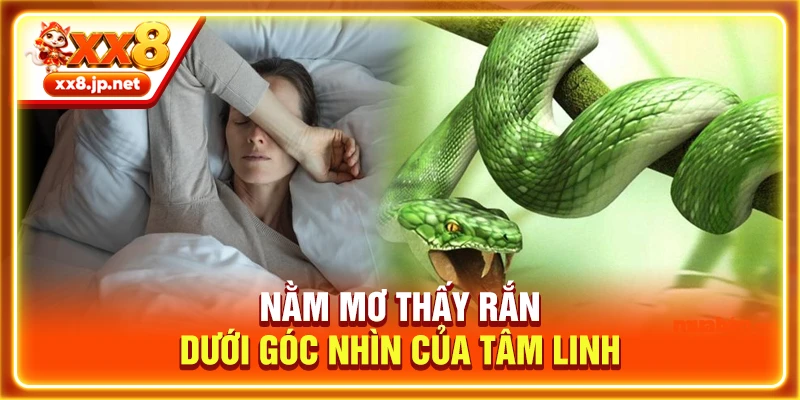 Nằm mơ thấy rắn dưới góc nhìn của tâm linh