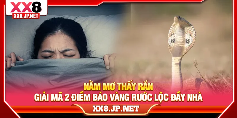 Nằm Mơ Thấy Rắn | Giải Mã 2 Điềm Báo Vàng Rước Lộc Đầy Nhà