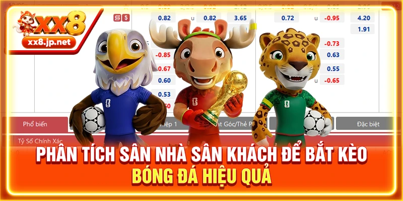 Phân tích sân nhà sân khách để bắt kèo bóng đá hiệu quả